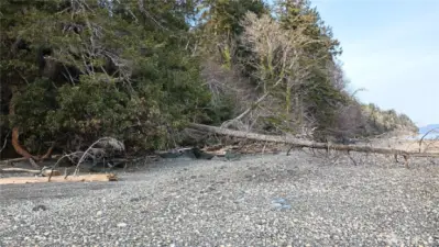 Waterfront portions view