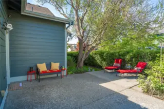 Escape to this tranquil outdoor retreat, featuring a spacious patio with lush landscaping and mature trees, providing shade and privacy.