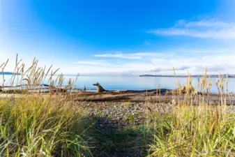 Birch Bay