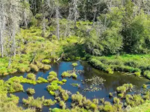 Your own private fishing hole just off the old elevated RR grade thru the wetland area. Perfect for wildlife viewing.