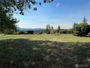 Plenty of room for a home, barn and gardens.
