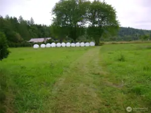 The property was used a hay field in the past.