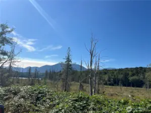 Mountain views over the marshland.