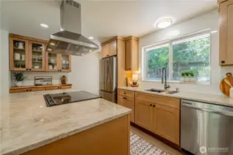 Kitchen w/ Quartzite counters