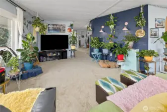Living Room looking back into family room area. Plants thrive in here due to all the natural light.