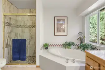 Primary Bath - Tile shower