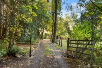 Established landscaping provides year-round allure, forever changing with the seasons.