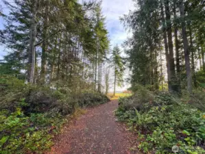 Driveway to building site.