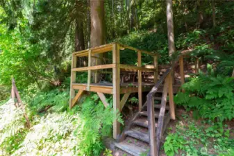 Small deck in surrounding woods