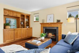 Custom Built-in wall of cabinetry