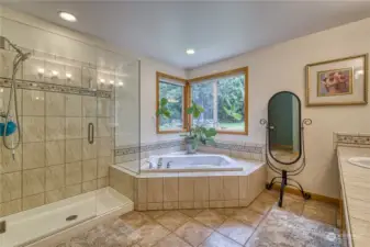 True En-suite spa like bath with walk in closet.