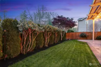 Professional landscaping with mature trees and flowering shrubs. There's even a gate to the greenbelt.