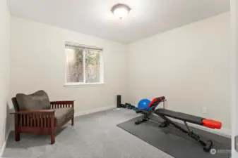 Third bedroom or work out space.