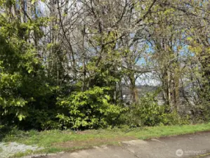 Vacant Land facing West