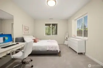 Lower level bedroom has plenty of room for a work station