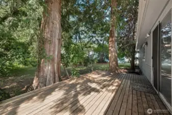 Large backyard