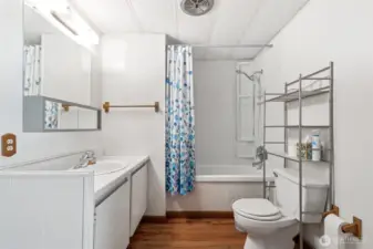 Hall bathroom
