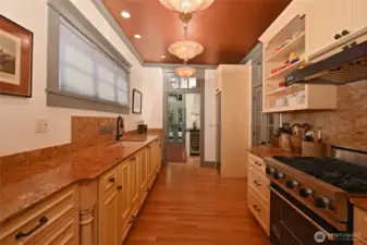 Chef's Kitchen