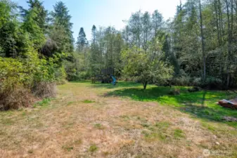 Tons of yard space and acreage to explore.