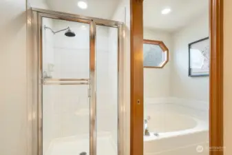 walk-in shower
