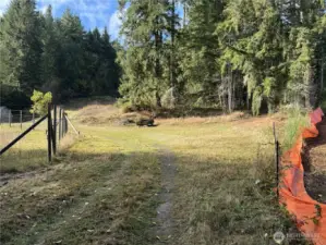 Entrance looking west. Orange fence is neighboring north lot.