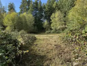 Top of 1st trail, to clearing.