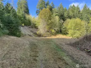Top of 2nd trail, facing west.