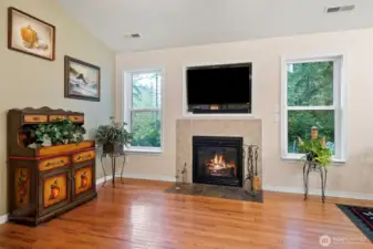 Living Room complete with Fire Place