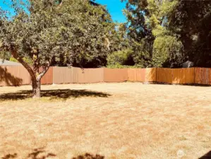 Large fully fenced in back yard. Perfect for gardening, or bbq’s.