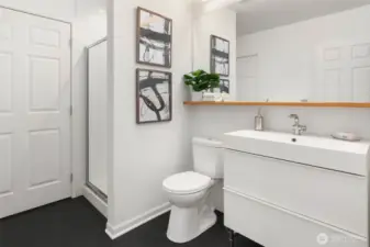 Lower level bathroom