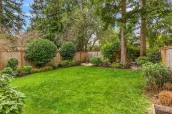 Beautiful fully fenced yard