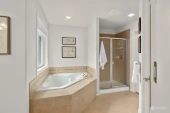 Separate shower and bathtub