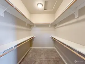 Plenty of Room in the Walk In Closet