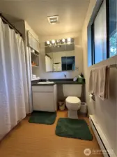Primary bathroom with tub shower.