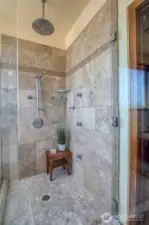 Primary Shower