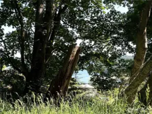 Another area where view peeks through the trees