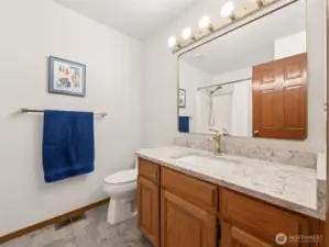 Full Guest Bathroom