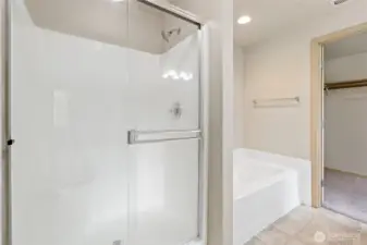 Master Bathroom Walk-in Shower