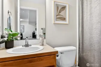 Lower Level Full Bathroom