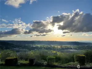 Views from the backyard