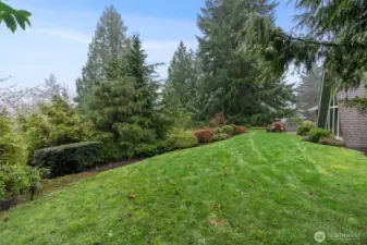 BIG yard with sprawling lawns. Rainy day pics... new ones coming soon!
