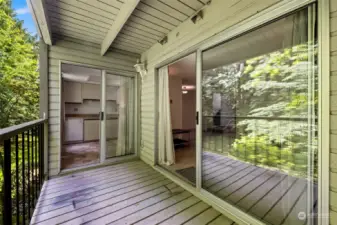 Here's another view of both sliding doors to the deck.