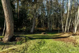 The wooded back yard has lovely trails and clearings.