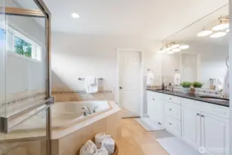 Spa like primary suite bath.