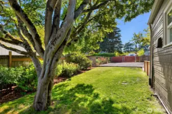 Looking along the west side of the house towards the backyard.