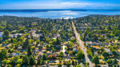 Located in the Westwood neighborhood you are close to Westwood Village shopping area as well as Lincoln Park which is top right in this picture.