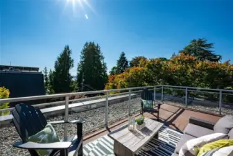 What a stunner! Another characteristic of Mid-Century Modern architecture is the integration with nature which this home does seamlessly through it's expansive 400 sq ft corner deck. It wraps around the home to offer 180 degree views from the east to the west. There is a peek-a-boo view of Elliott Bay and more of the Cascades, the city and territorial views from Queen Anne to Capitol Hill.