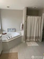 Primary bath soaking tub and shower.