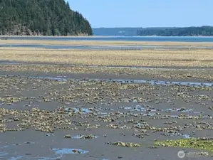 community beach on Hood Canal