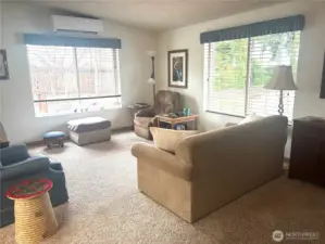 Lots of light in living room